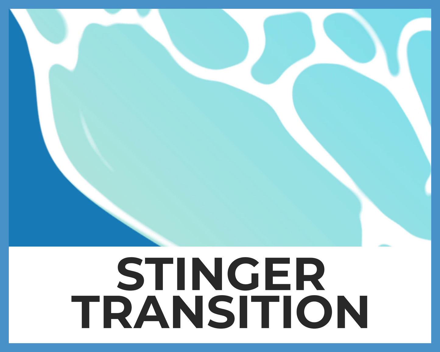 Ocean Wave Stinger Transition