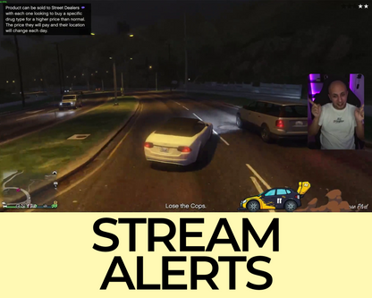 Rally Car Twitch Stream Alerts