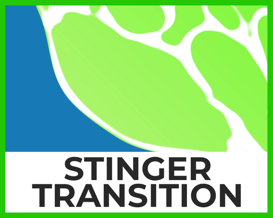 Ocean Wave Stinger Transition