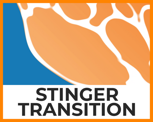 Ocean Wave Stinger Transition