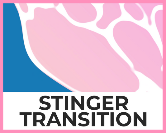 Ocean Wave Stinger Transition